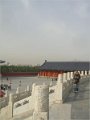 Beijing  (337)